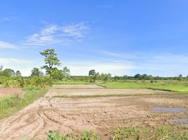  Land for sale in Nong Mai Ngam, Ban Kruat, Nong Mai Ngam