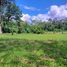  Land for sale in Pococi, Limon, Pococi