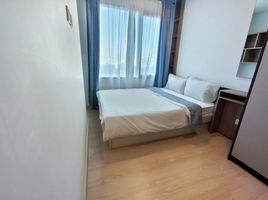 1 Bedroom Condo for rent at The Gallery Condominium, Samrong Nuea