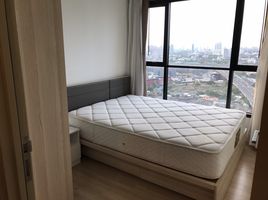 1 Schlafzimmer Wohnung zu vermieten im The Base Rama 9 - Ramkhamhaeng, Hua Mak