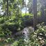  Land for sale in Perez Zeledon San Jose, Perez Zeledon, San Jose