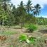  Land for sale in Pa Phayom, Phatthalung, Lan Khoi, Pa Phayom