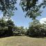  Land for sale in Turrubares San Jose, Turrubares, San Jose
