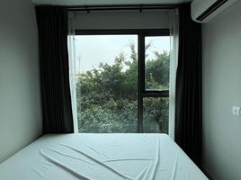 1 Bedroom Condo for rent at The Privacy S101, Bang Chak