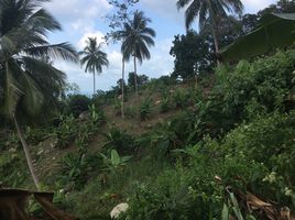  Grundstück zu verkaufen in Koh Samui, Surat Thani, Bo Phut