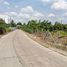  Land for sale in Mueang Pathum Thani, Pathum Thani, Bang Luang, Mueang Pathum Thani