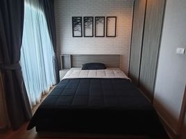 Studio Condo for sale at Chapter One Midtown Ladprao 24, Chomphon