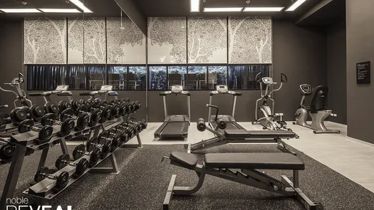 图片 1 of the Communal Gym at Noble Reveal