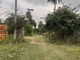  Grundstück zu verkaufen in Koh Samui, Surat Thani, Maret