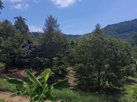  Grundstück zu verkaufen in Koh Samui, Surat Thani, Maenam