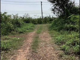  Land for sale in Chak Phong, Klaeng, Chak Phong