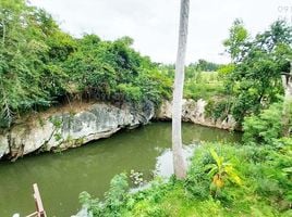 6 Schlafzimmer Villa zu verkaufen in Pak Chong, Nakhon Ratchasima, Mu Si, Pak Chong, Nakhon Ratchasima, Thailand