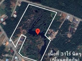  Grundstück zu verkaufen in Mueang Surat Thani, Surat Thani, Makham Tia