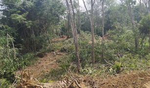 N/A Land for sale in Chalong, Phuket 