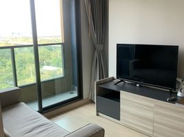 1 Bedroom Condo for rent at Lumpini Suite Phetchaburi - Makkasan, Makkasan
