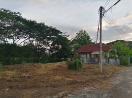  Land for sale at Baan Morakod, Nong Chom, San Sai, Chiang Mai, Thailand