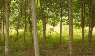 N/A Land for sale in Pak Chom, Loei 