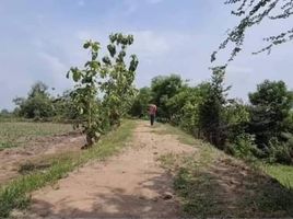  Grundstück zu verkaufen in Chom Bueng, Ratchaburi, Pak Chong