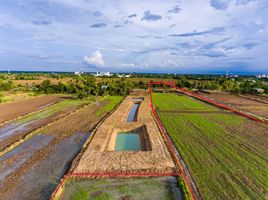  Grundstück zu verkaufen in Phimai, Nakhon Ratchasima, Nai Mueang