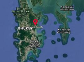  Land for sale in Thalang Phuket, Pa Khlok, Thalang, Phuket, Thailand