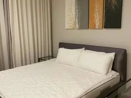 1 Schlafzimmer Wohnung zu vermieten im Noble Ploenchit, Lumphini