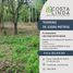  Land for sale in Siquirres, Limon, Siquirres