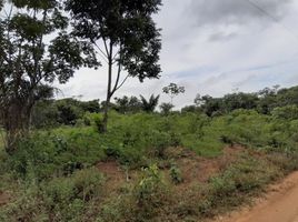  Grundstück zu verkaufen in Autazes, Amazonas, Autazes