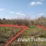  Land for sale in Nong Ki, Buri Ram, Nong Ki, Nong Ki