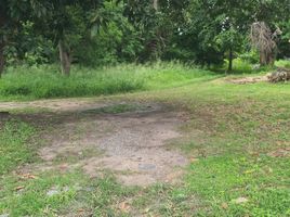  Land for sale in Mueang Chon Buri, Chon Buri, Ang Sila, Mueang Chon Buri