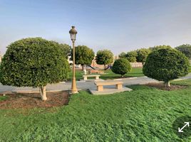  Land for sale at Maysaloon, Al Sharq