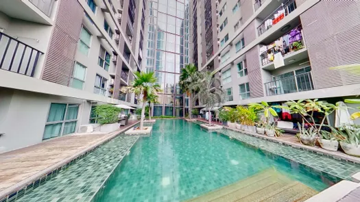 3D Walkthrough of the Communal Pool at A Space Asoke-Ratchada