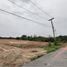 ขายที่ดิน ใน เมืองอ่างทอง อ่างทอง, จำปาหล่อ