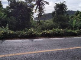  Grundstück zu verkaufen in Ko Chang, Trat, Ko Chang Tai