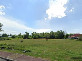  Grundstück zu verkaufen in Tha Sala, Nakhon Si Thammarat, Tha Sala, Tha Sala