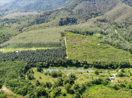 ขายที่ดิน ใน ถลาง ภูเก็ต, ศรีสุนทร, ถลาง