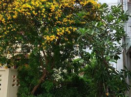  Grundstück zu verkaufen in Talat Nuea, Phuket, Talat Nuea