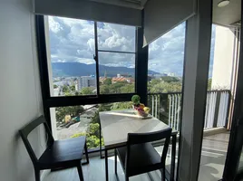 1 Bedroom Condo for rent at Palm Springs Nimman (Parlor), Suthep, Mueang Chiang Mai, Chiang Mai