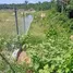  Land for sale in Kuala Pilah Negeri Sembilan, Juasseh, Kuala Pilah, Negeri Sembilan