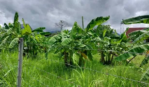 清迈 Don Kaeo N/A 土地 售 