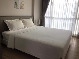 1 Bedroom Condo for rent at The Base Downtown, Wichit, Phuket Town, Phuket