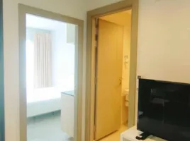 1 Schlafzimmer Wohnung zu vermieten im Life Asoke Rama 9, Makkasan