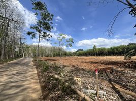  Grundstück zu verkaufen in Nong Thale, Krabi, Nong Thale