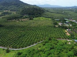  Land for sale in Phuket, Thep Krasattri, Thalang, Phuket