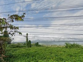  Land for sale in Nang Lae, Mueang Chiang Rai, Nang Lae