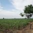  Land for sale in Saraburi, Wang Muang, Wang Muang, Saraburi