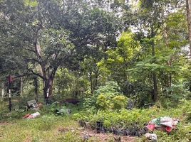  Land for sale in Tha Mai, Chanthaburi, Khao Baisi, Tha Mai