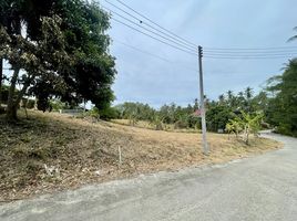  Grundstück zu verkaufen in Koh Samui, Surat Thani, Maenam