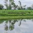 Grundstück zu verkaufen in Huai Sak, Chiang Rai, Huai Sak, Mueang Chiang Rai, Chiang Rai, Thailand
