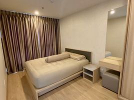 1 Bedroom Condo for rent at Ideo O2, Bang Na