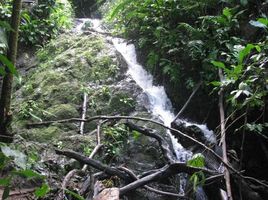  Grundstück zu verkaufen in Aguirre, Puntarenas, Aguirre